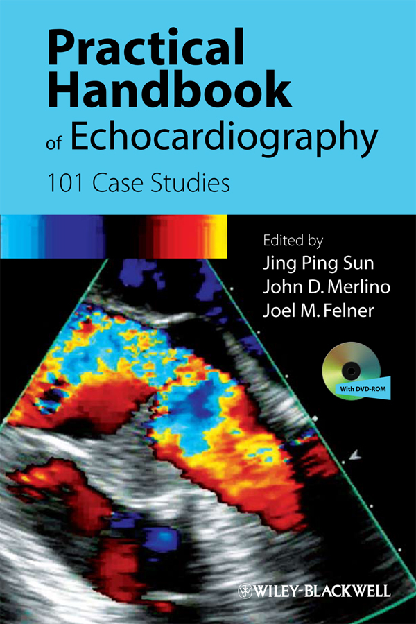 Practical Handbook of Echocardiography. 101 Case Studies
