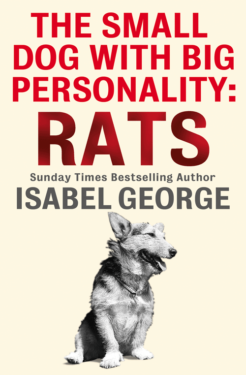 Книга The Small Dog With A Big Personality: Rats из серии , созданная Isabel George, может относится к жанру Биографии и Мемуары, Домашние Животные. Стоимость электронной книги The Small Dog With A Big Personality: Rats с идентификатором 39800689 составляет 79.72 руб.