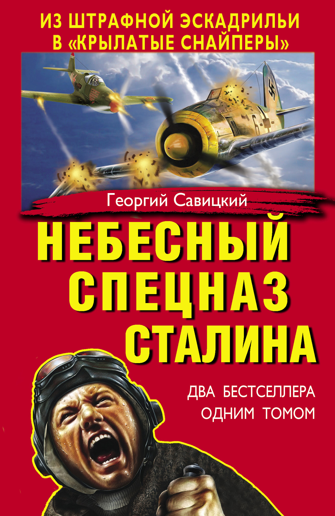 Небесный спецназ Сталина. Из штрафной эскадрильи в «крылатые снайперы» (сборник)