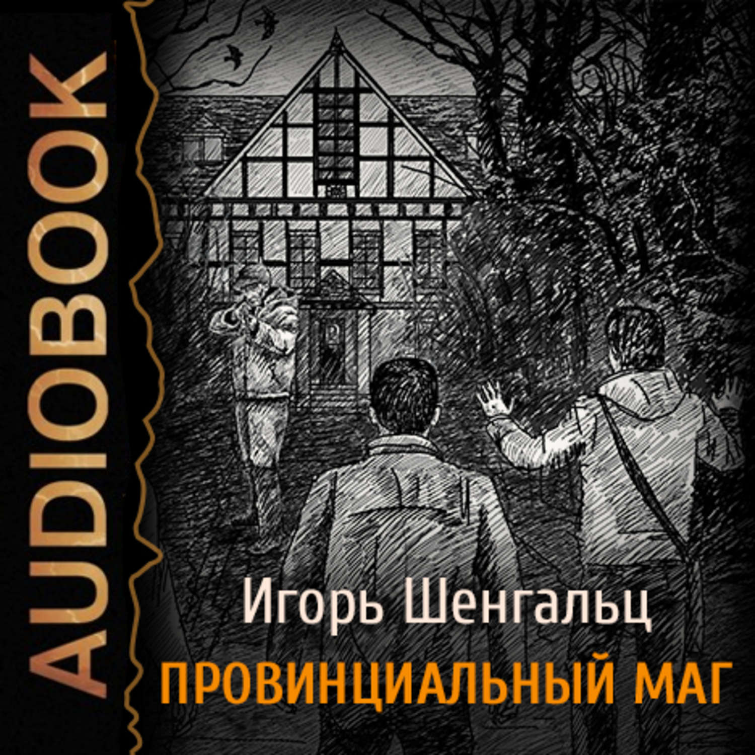 Шенгальц семнадцатый. Охотник. Шенгальц и.. Аудиокнига новые маги. Сыщик Бреннер. Шенгальц и.а..