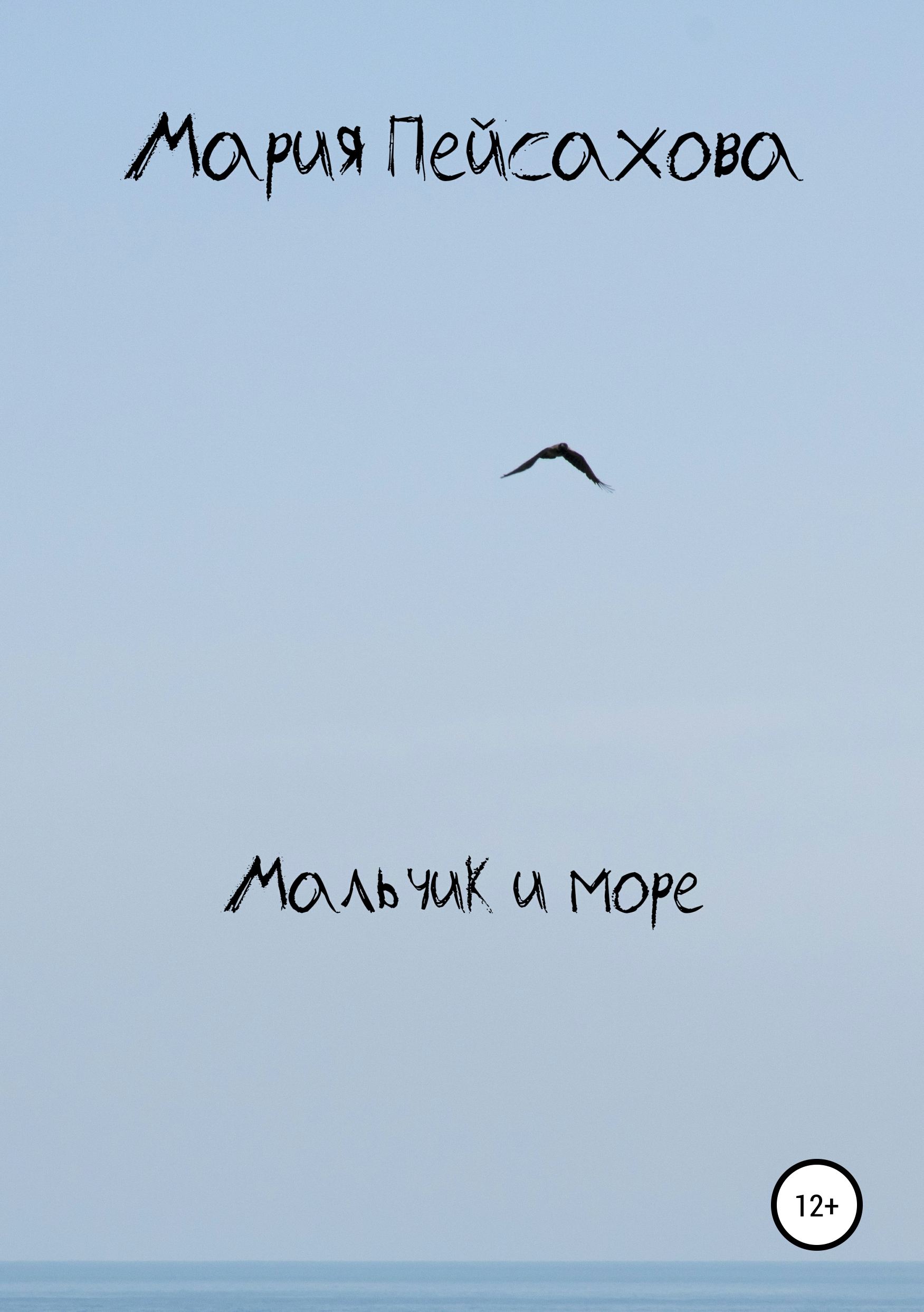 

Мальчик и море