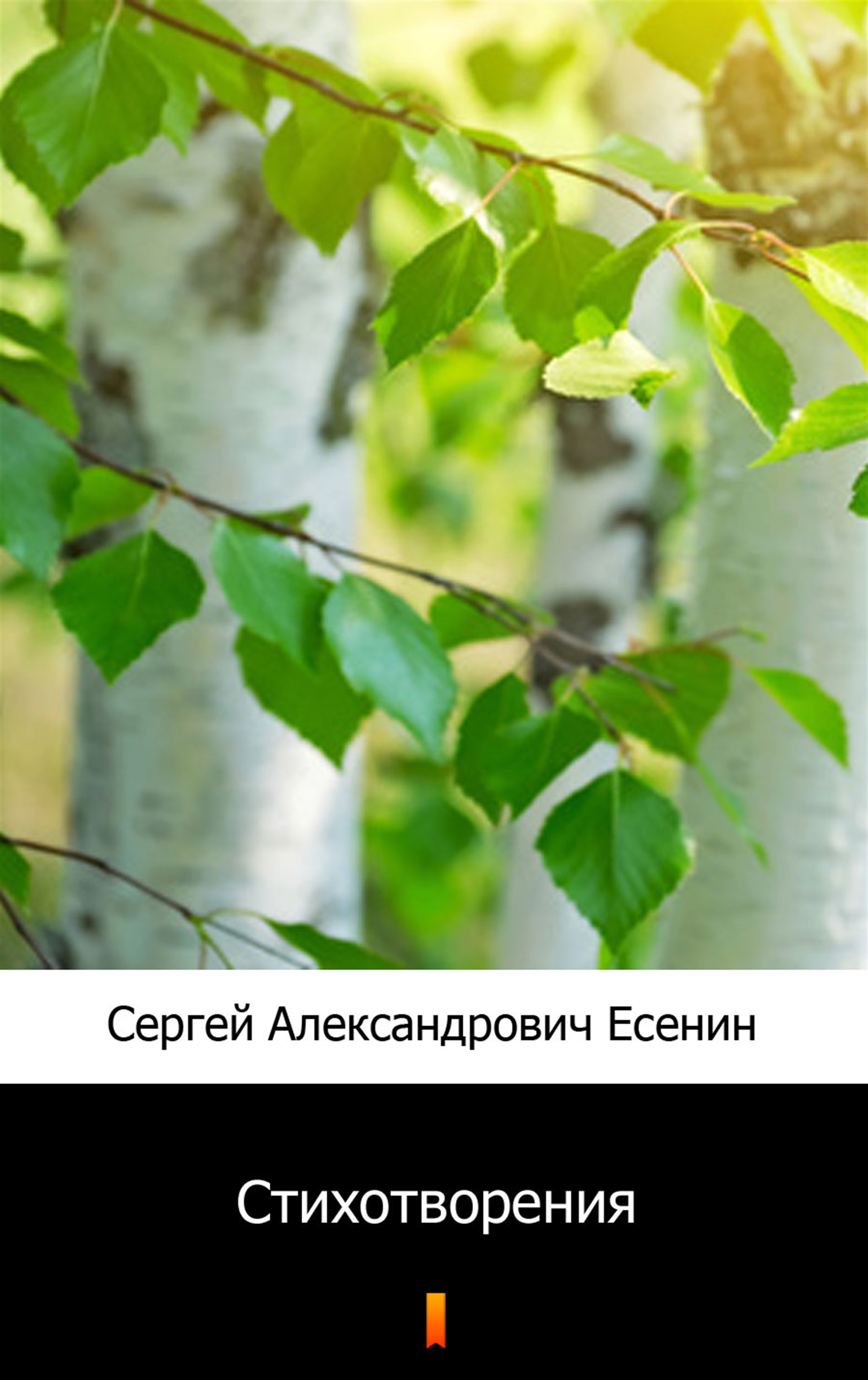 

Стихотворения (Wiersze)