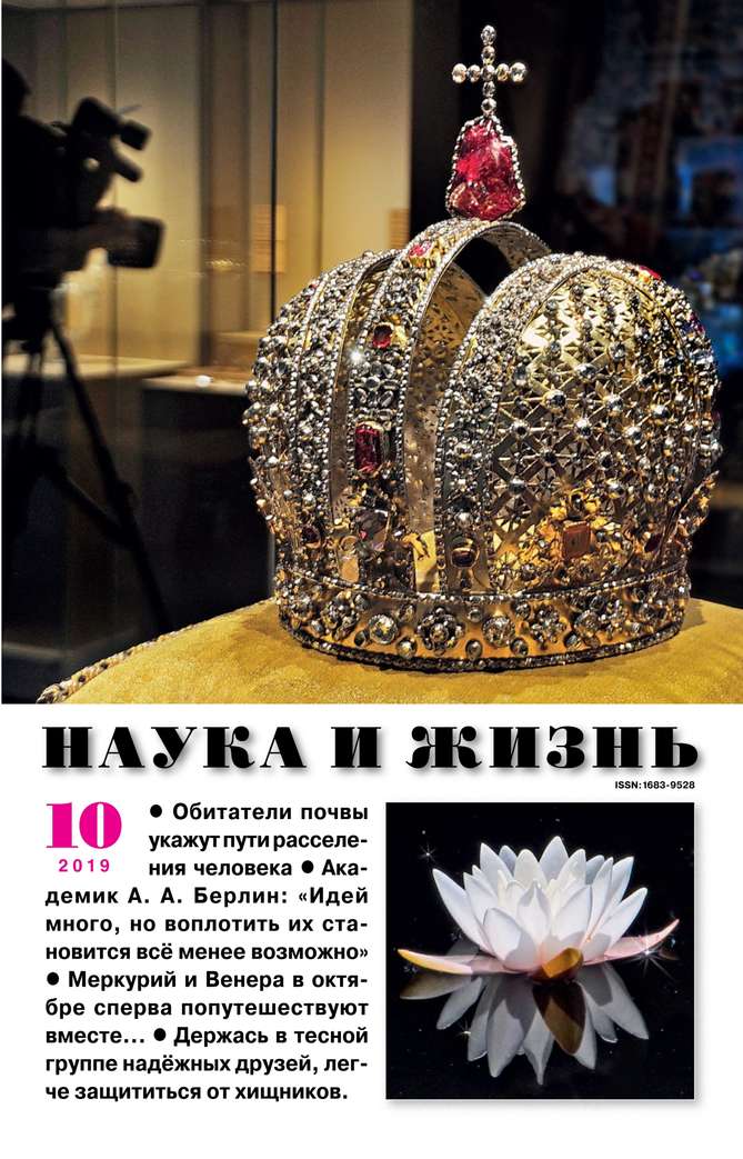 

Наука и Жизнь 10-2019