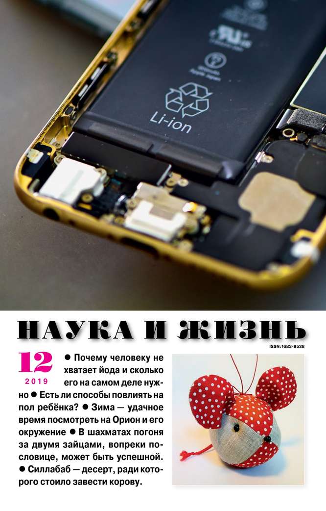 

Наука и Жизнь 12-2019