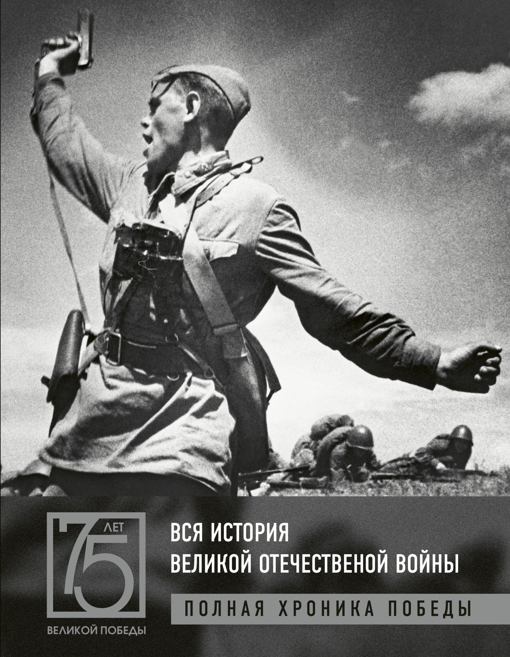 Вся история Великой Отечественной войны. Полная хроника победы, А. В.  Сульдин – скачать pdf на ЛитРес