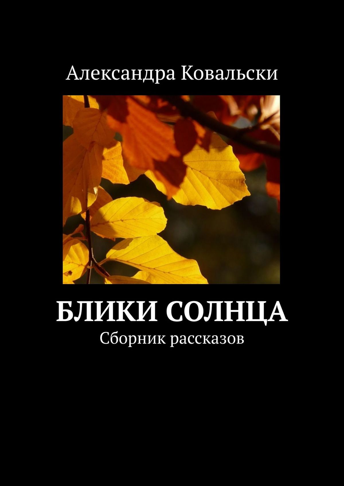 Блик книга