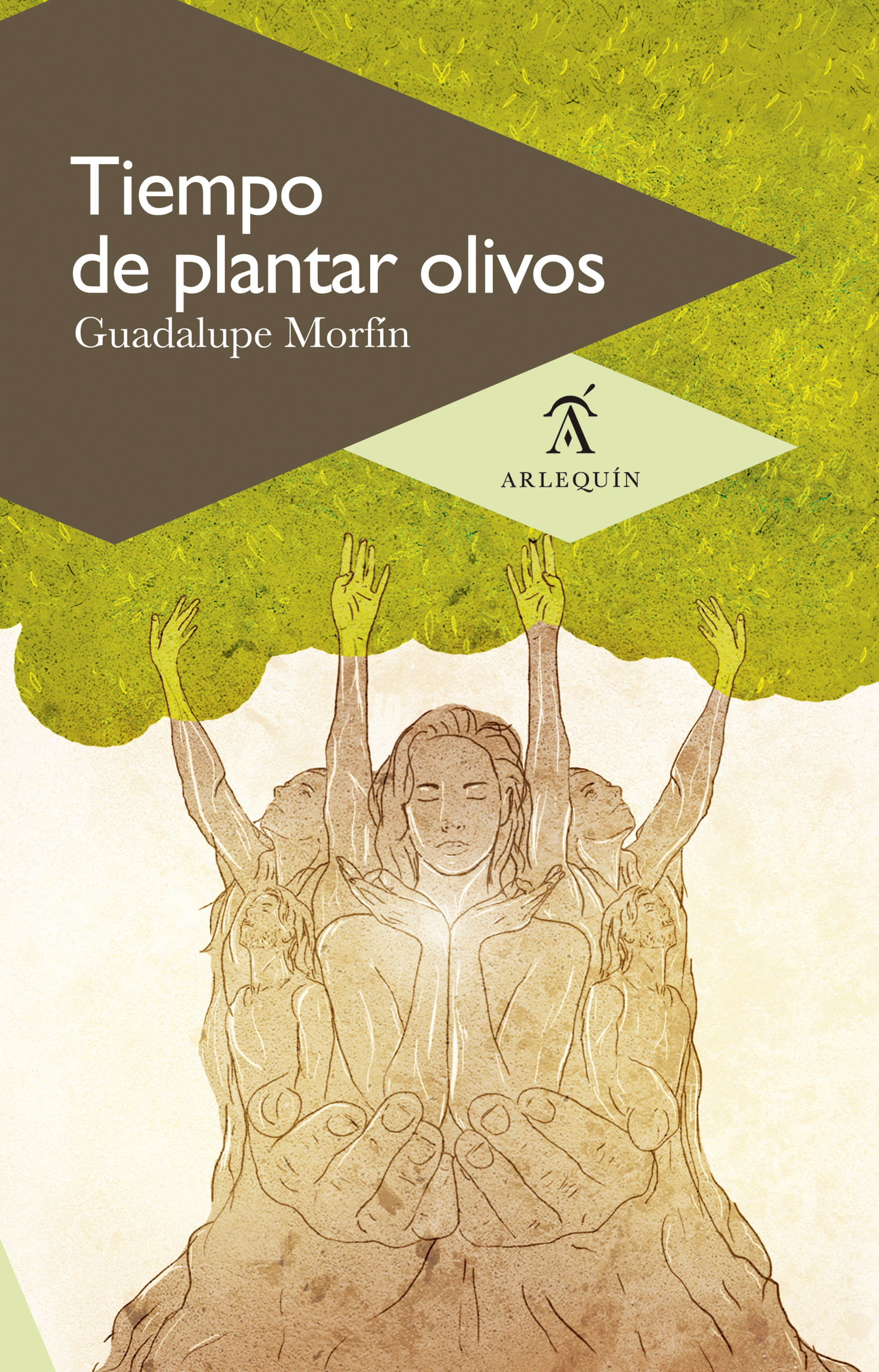 Tiempo de plantar olivos