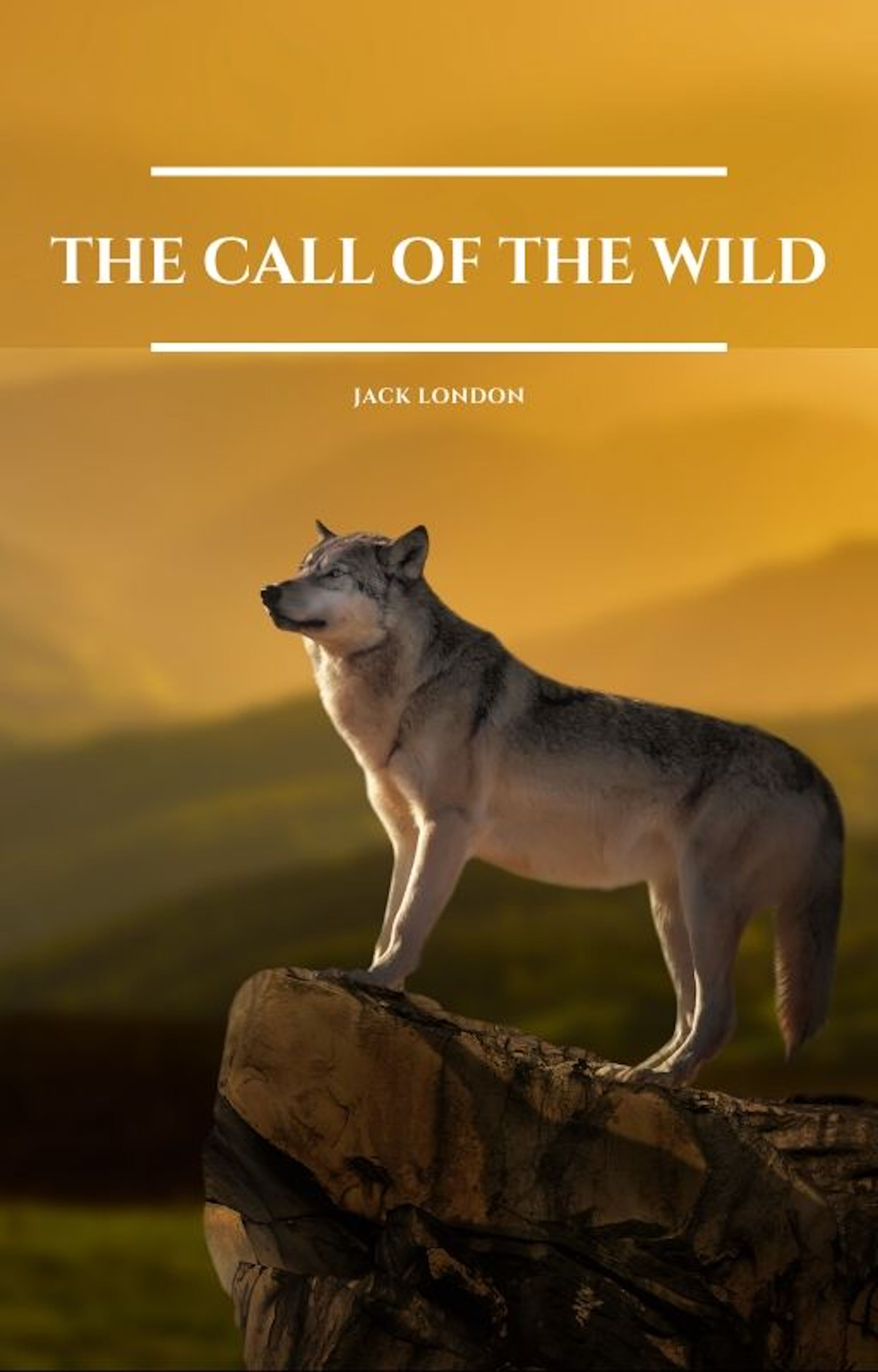 

The Call of the Wild (Wisehouse Classics - with original illustrations)