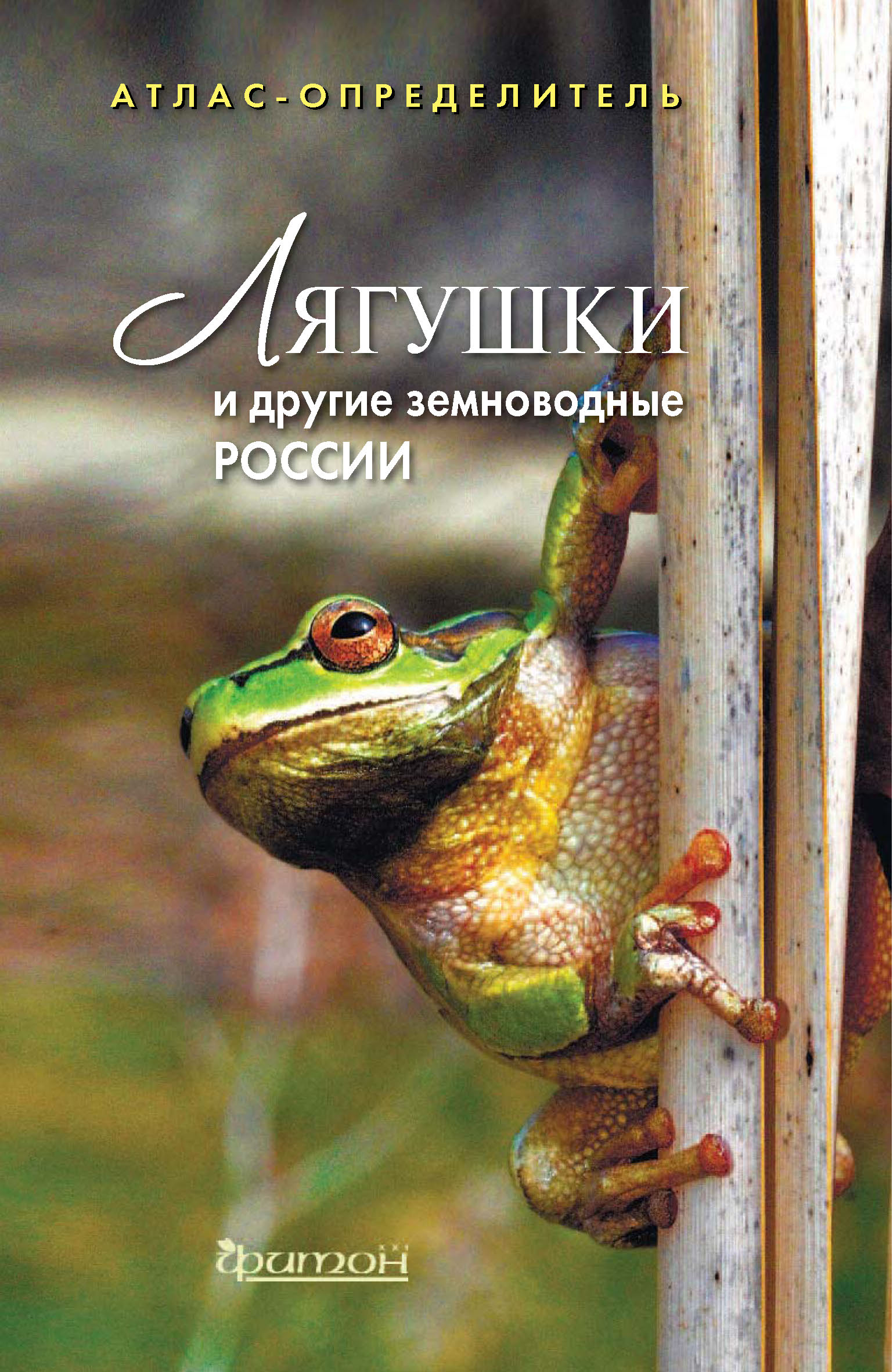 Лягушки и другие земноводные России, Е. А. Дунаев – скачать pdf на ЛитРес