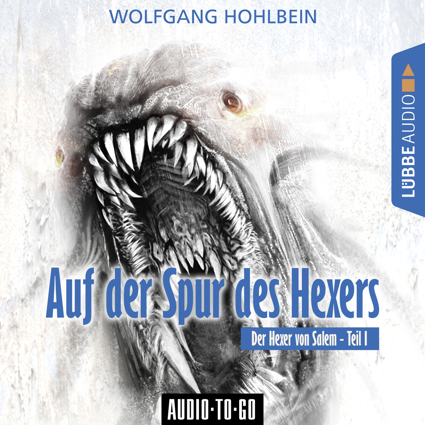 Auf der Spur des Hexers - Der Hexer von Salem 1 (Gekürzt)