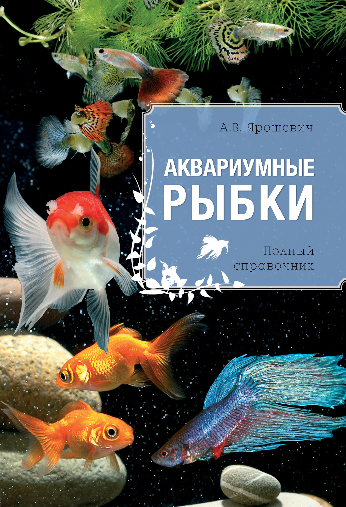 Книги про рыб. Аквариумные рыбы. Рыбки для аквариума. Книга про аквариумных рыбок. Аквариумные рыбки книжка.