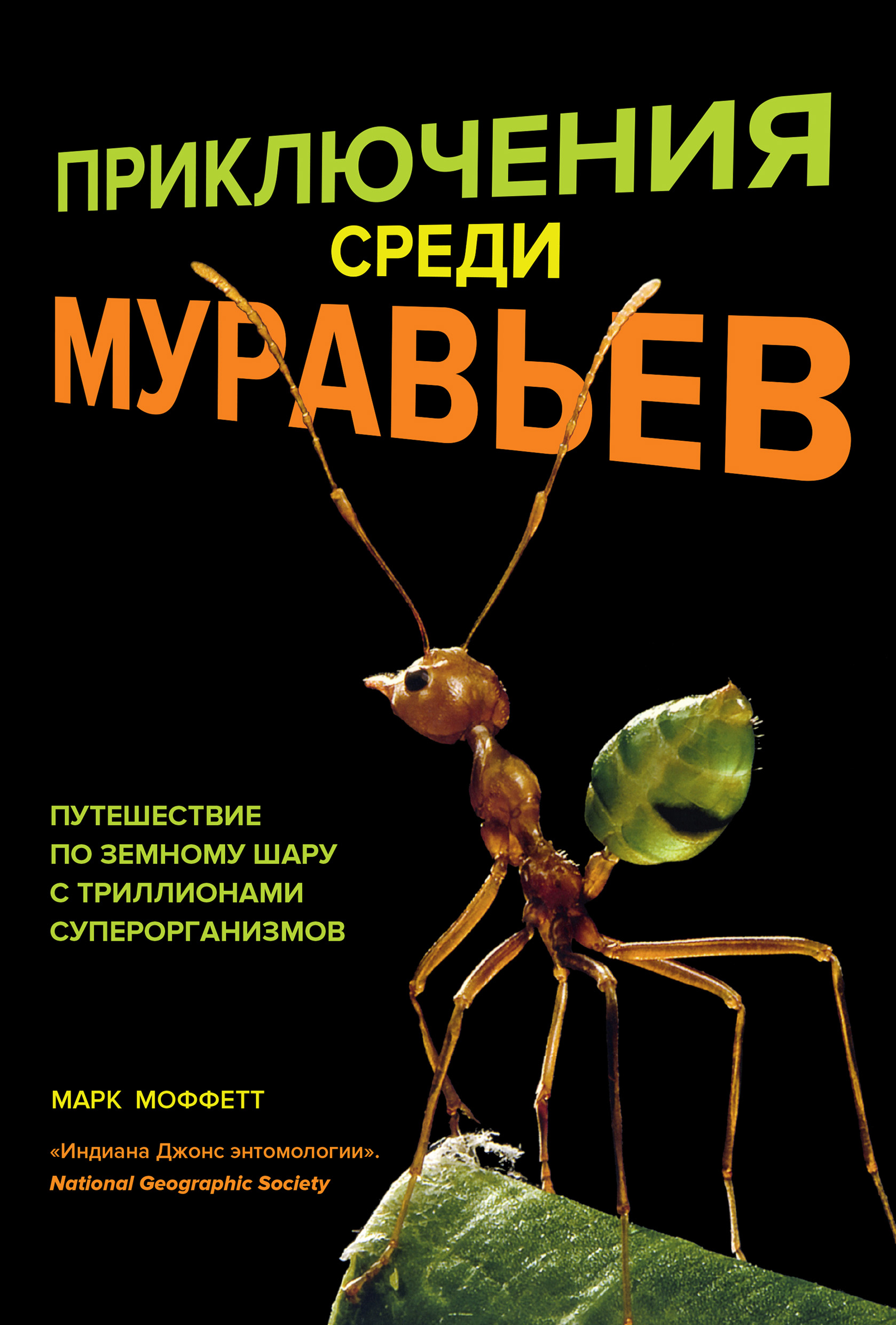 Приключения среди муравьев. Путешествие по земному шару с триллионами  суперорганизмов, Марк Моффетт – скачать книгу fb2, epub, pdf на ЛитРес