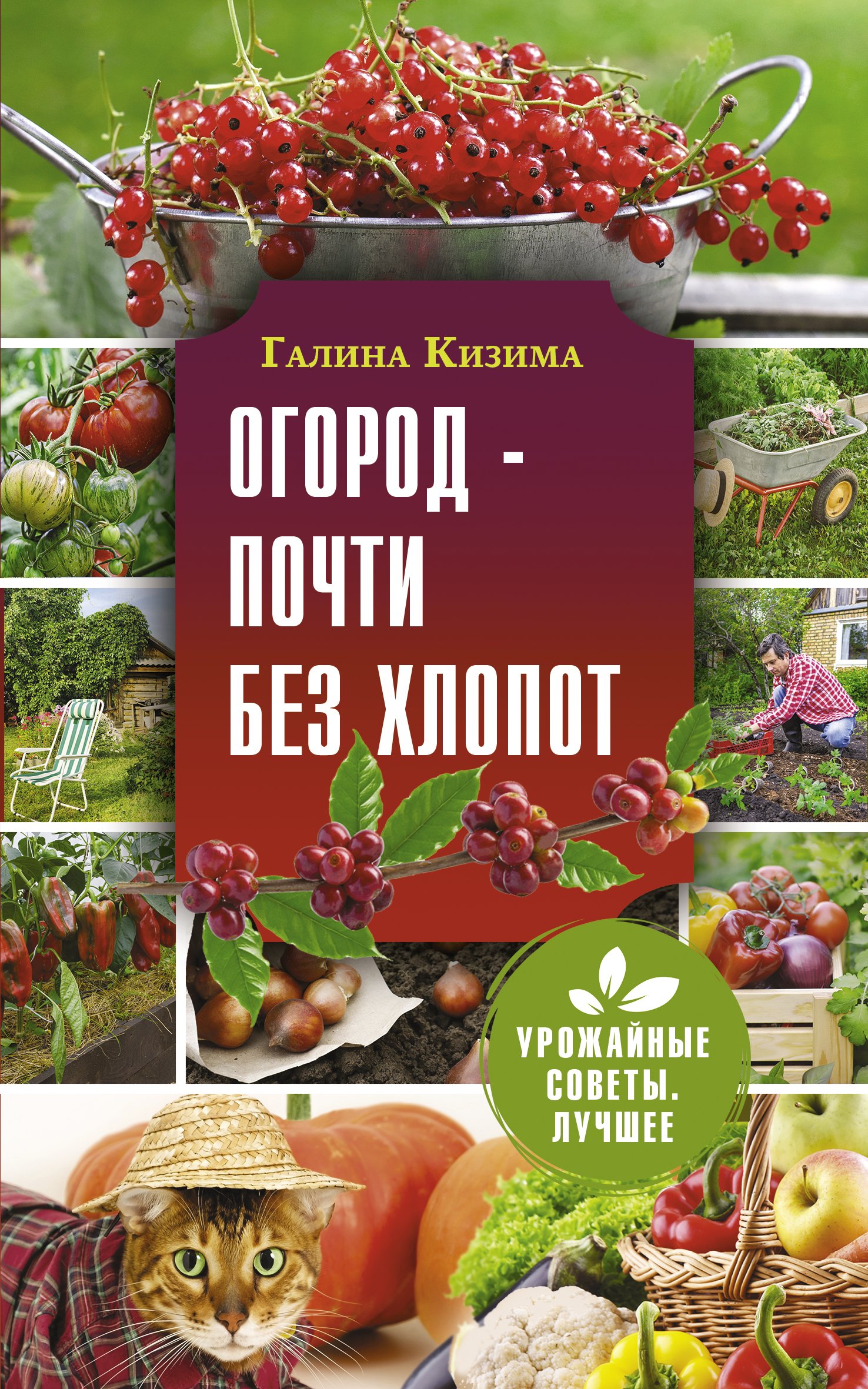 Огород – почти без хлопот, Галина Кизима – скачать книгу fb2, epub, pdf на  ЛитРес