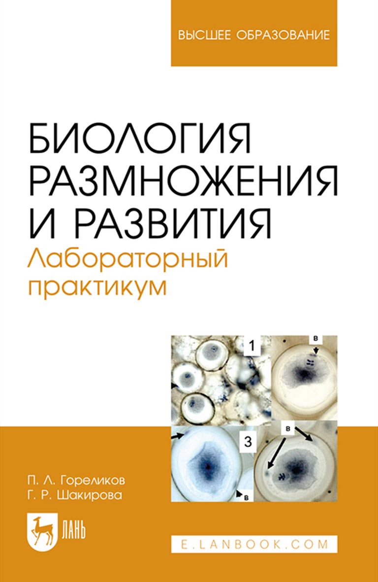 Биология размножения и развития. Лабораторный практикум.  Учебно-методическое пособие для вузов, П. Л. Гореликов – скачать pdf на  ЛитРес