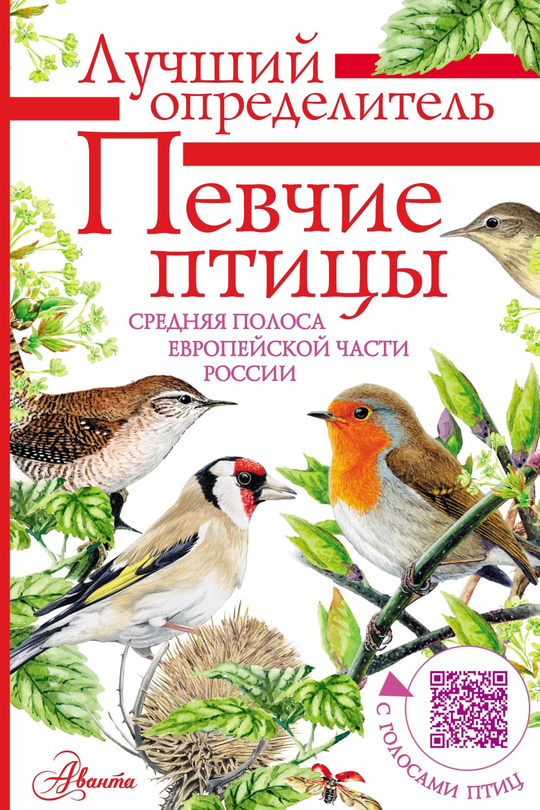 Певчие птицы. Средняя полоса европейской части России. Определитель с  голосами птиц, Евгений Коблик – скачать pdf на ЛитРес