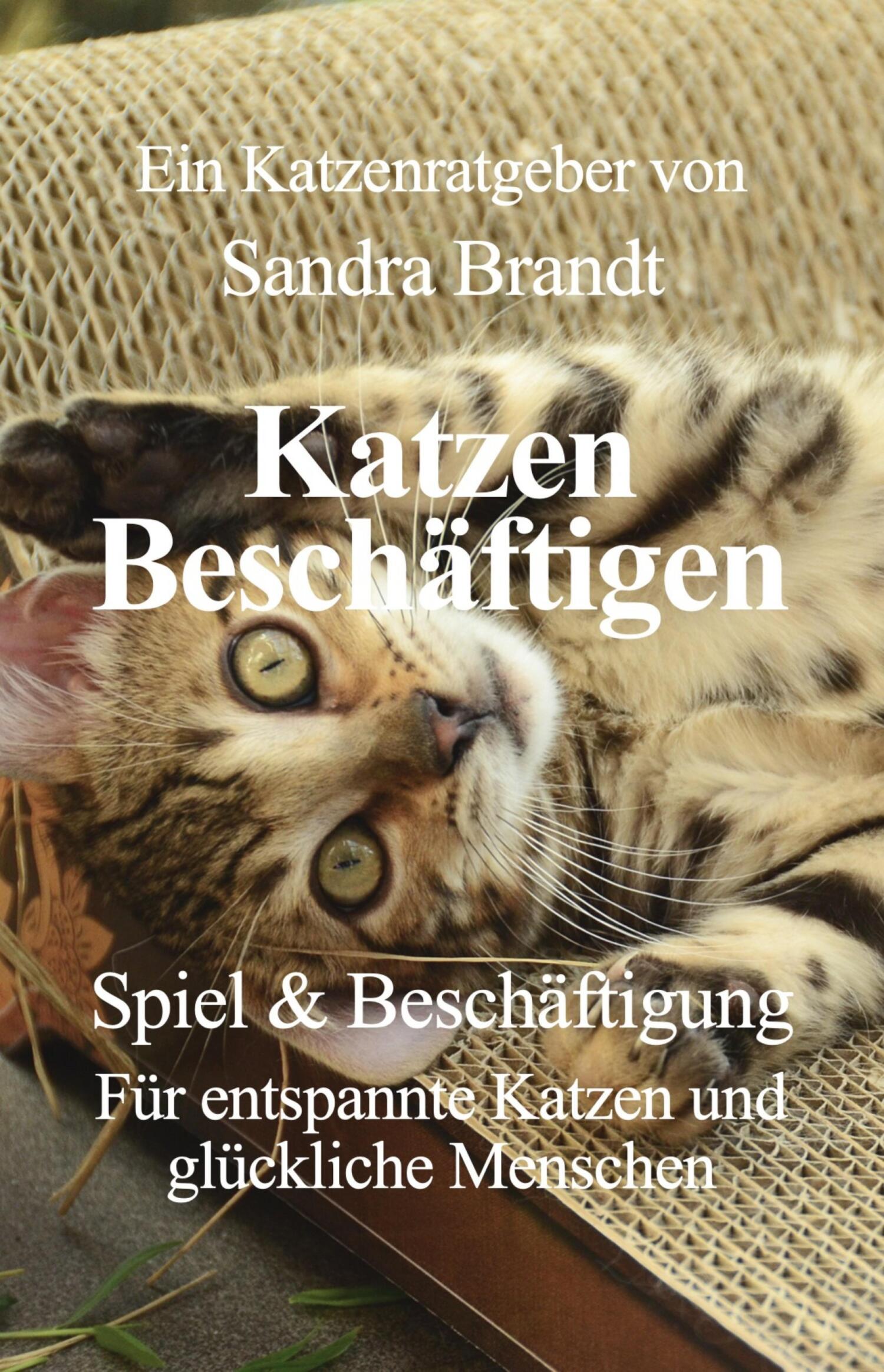 Katzen Beschäftigen, Sandra Brandt – читать онлайн на ЛитРес