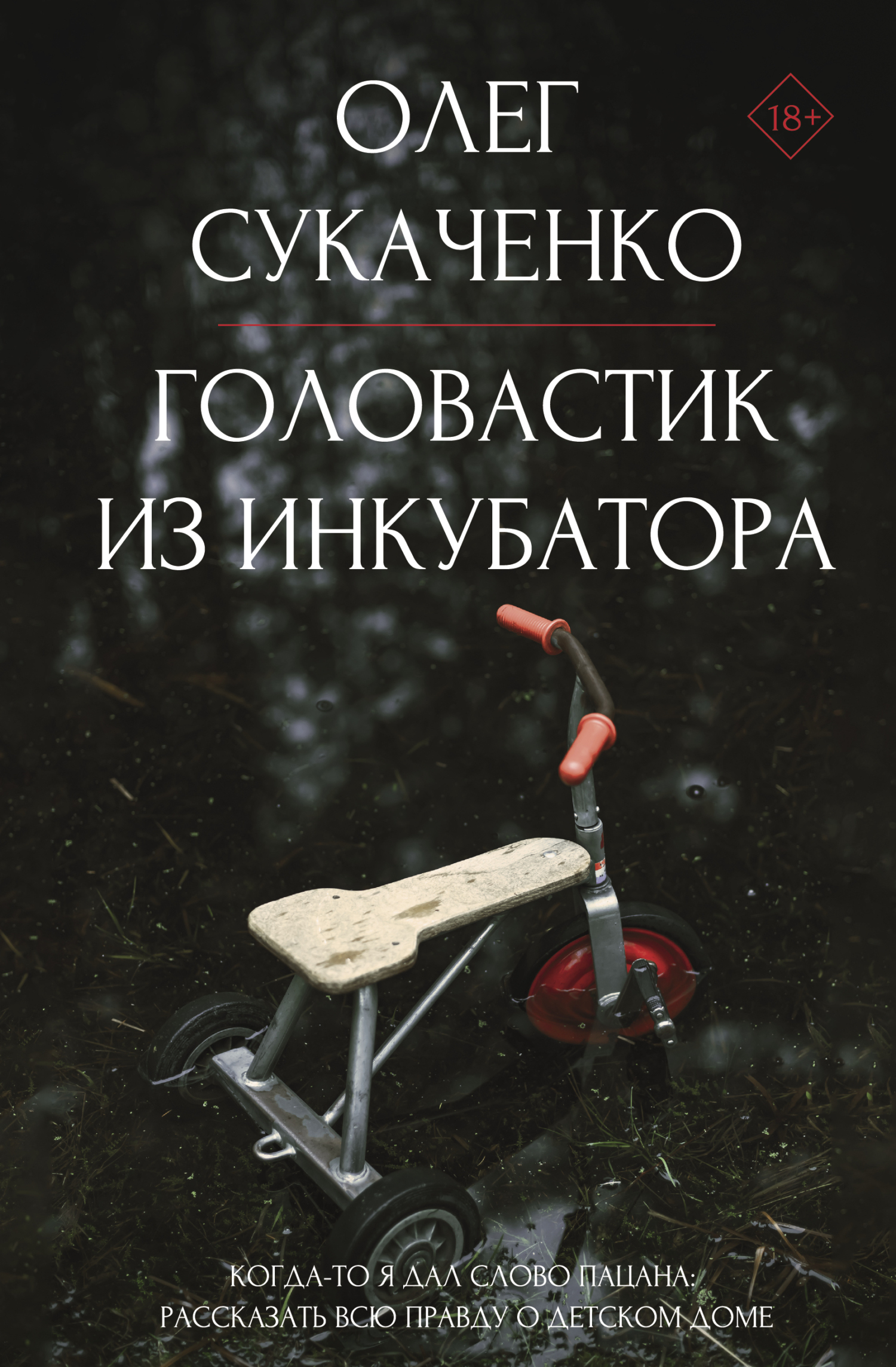 Головастик из инкубатора. Когда-то я дал слово пацана: рассказать всю  правду о детском доме, Олег Сукаченко – скачать книгу fb2, epub, pdf на  ЛитРес