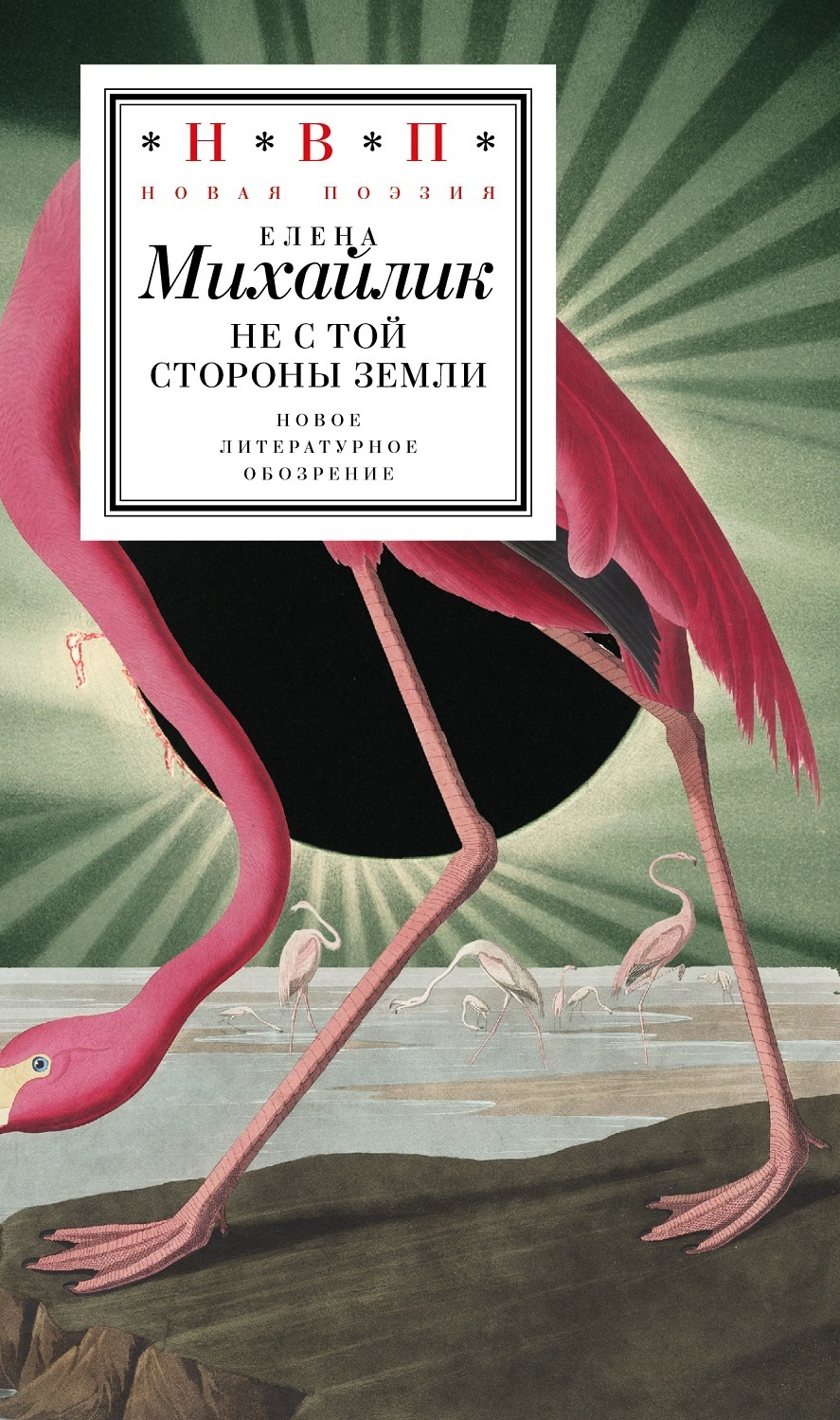 Не с той стороны земли, Елена Михайлик – скачать книгу fb2, epub, pdf на  ЛитРес