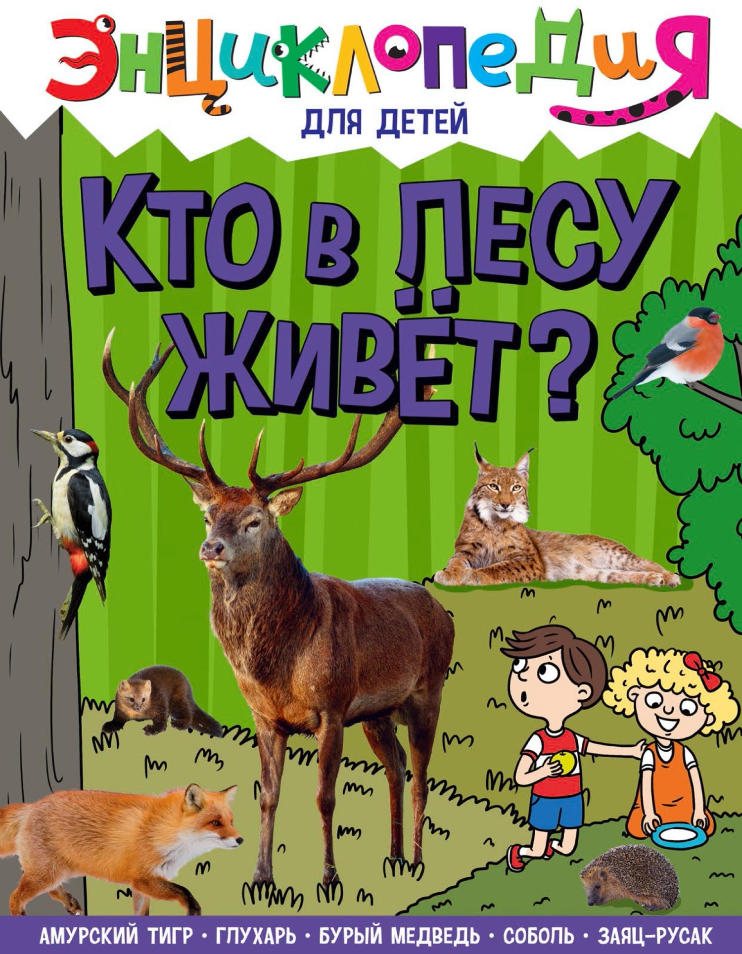 Кто в лесу живёт?, Ярослава Соколова – скачать pdf на ЛитРес