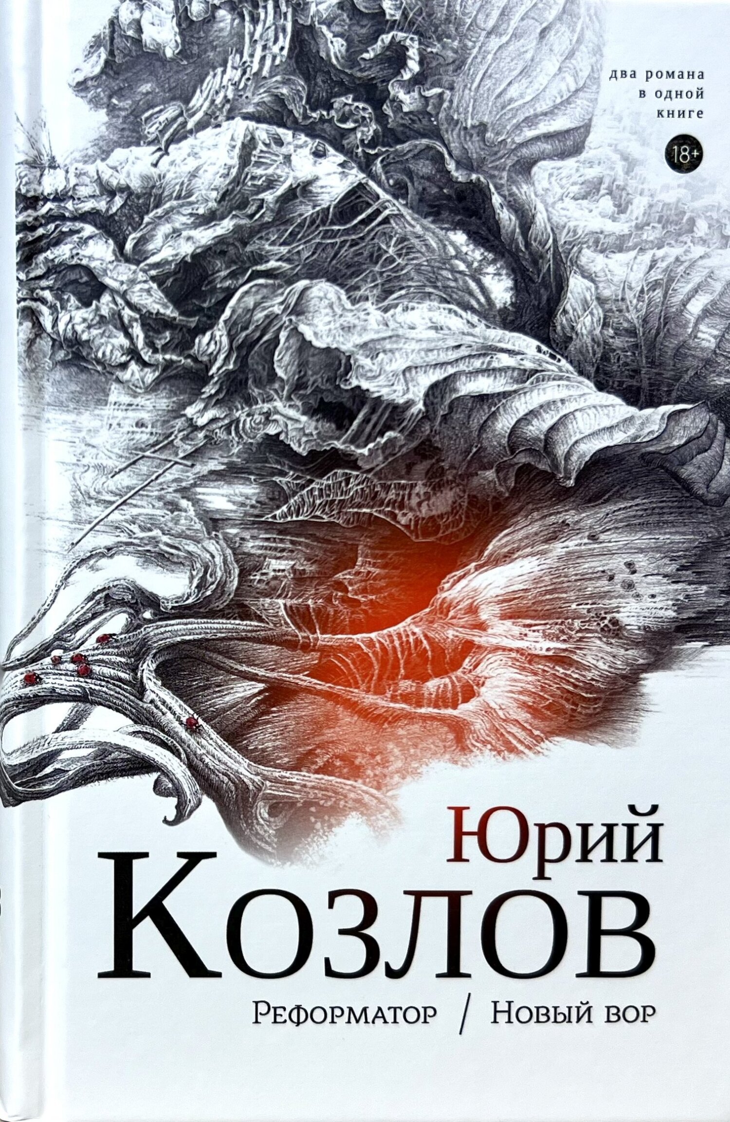 Реформатор. Новый вор. Том 2., Юрий Козлов – скачать книгу fb2, epub, pdf  на ЛитРес