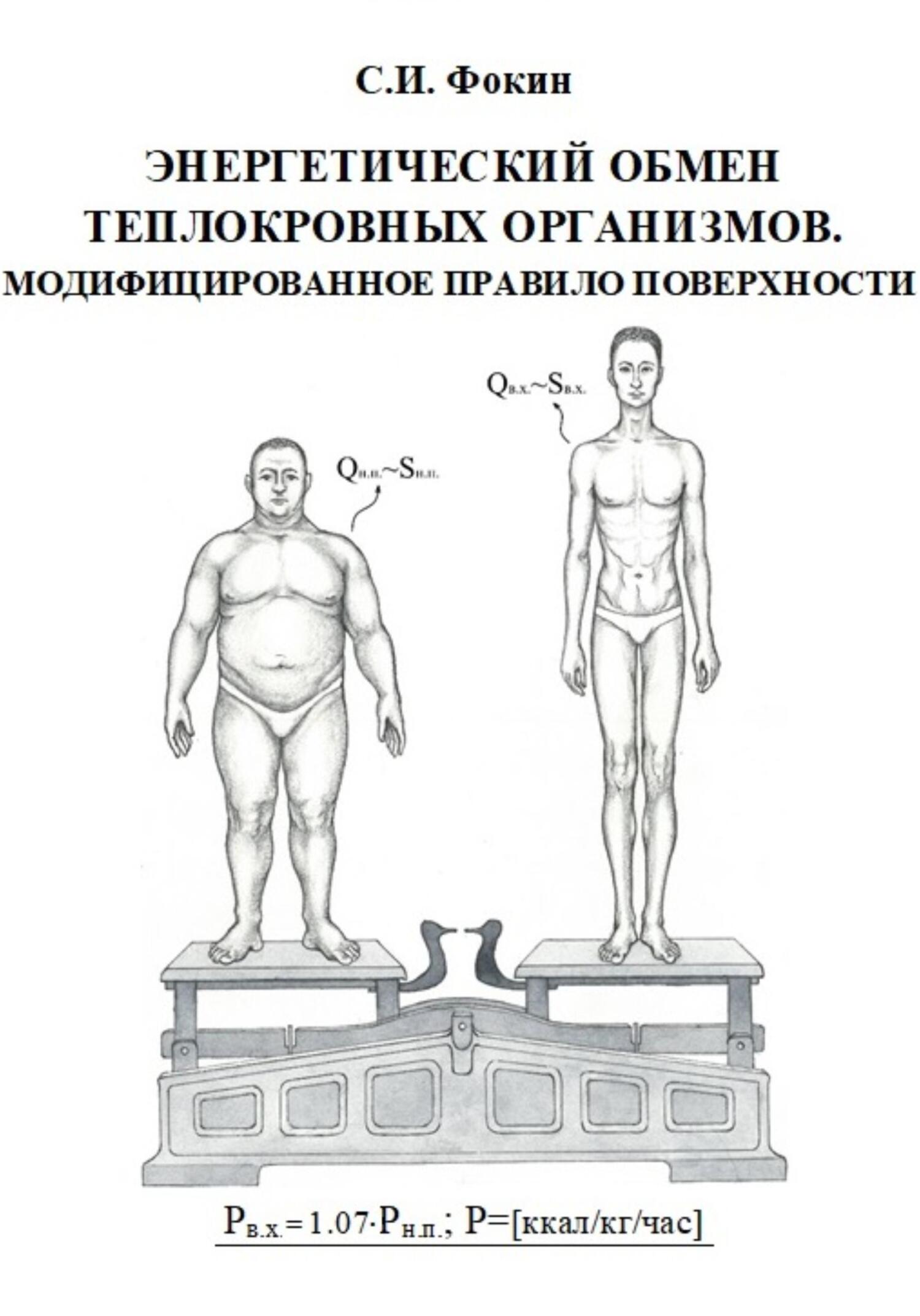 Энергетический обмен теплокровных организмов. Модифицированное правило  поверхности, Сергей Иванович Фокин – бесплатно скачать pdf на ЛитРес