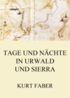 Tage und Nächte in Urwald und Sierra