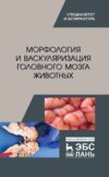 Морфология и васкуляризация головного мозга животных