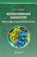 Молекулярная биология. Рибосомы и биосинтез белка - А. С. Спирин