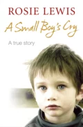 A Small Boy’s Cry - Rosie  Lewis