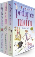 Fiona Gibson 3 Book Bundle - Fiona  Gibson