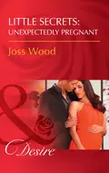 Little Secrets: Unexpectedly Pregnant - Joss Wood