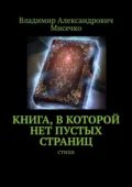 Книга, в которой нет пустых страниц. Стихи - Владимир Александрович Мисечко