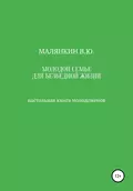 Молодой семье для безбедной жизни. Настольная книга молодоженов - Владимир Юрьевич Малянкин