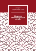 Сборник стихотворений «5/20» - Валерий Александрович Тихий