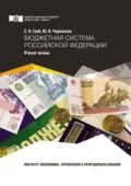 Бюджетная система Российской Федерации - Ю. И. Черкасова
