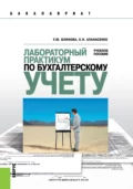 Лабораторный практикум по бухгалтерскому учету. (Бакалавриат). Учебное пособие. - Ульяна Юрьевна Блинова