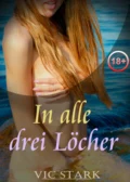 In alle drei Löcher ... - Vic Stark