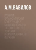 Развитие организаторской компетенции у будущих вожатых детского лагеря в условиях профессионального обучения - А. М. Вавилов