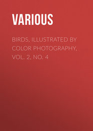 Birds, Illustrated by Color Photography, Vol. 2, No. 4