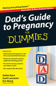 Dad\'s Guide to Pregnancy For Dummies