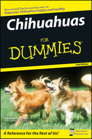 Chihuahuas For Dummies