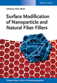 Surface Modification of Nanoparticle and Natural Fiber Fillers
