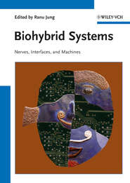 Biohybrid Systems. Nerves, Interfaces and Machines