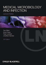 Medical Microbiology and Infection