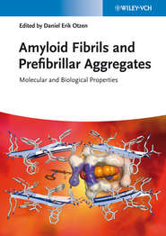 Amyloid Fibrils and Prefibrillar Aggregates