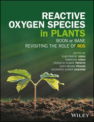 Reactive Oxygen Species in Plants
