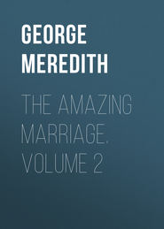 The Amazing Marriage. Volume 2