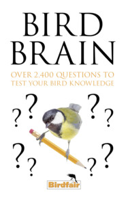 Bird Brain: Over 2,400 Questions to Test Your Bird Knowledge