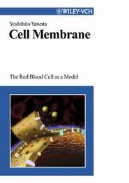 Cell Membrane