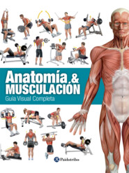 Anatomía & Musculación